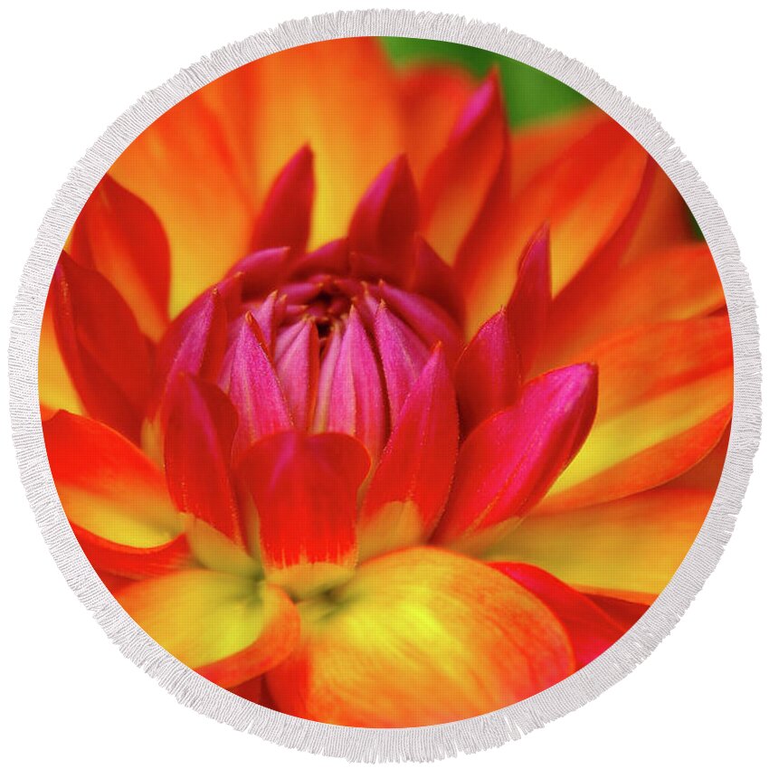 Floral Round Beach Towel featuring the photograph I am a Firepot by Debra Orlean