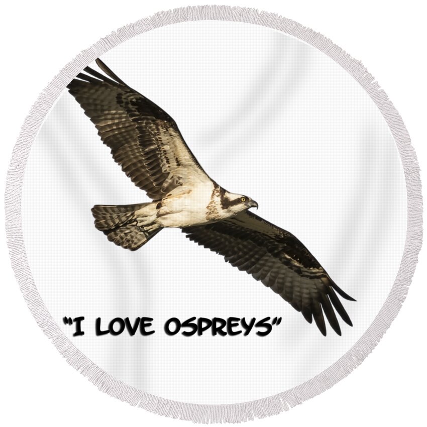 Osprey Round Beach Towel featuring the photograph I Love Ospreys 2016-1 by Thomas Young