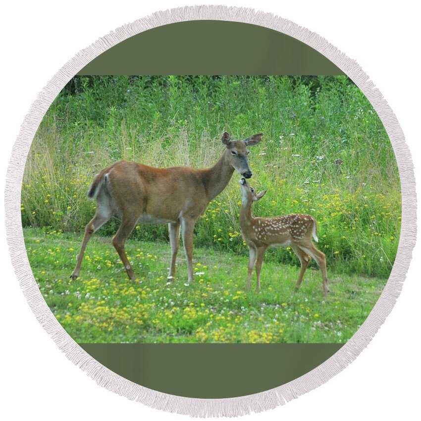 Wildlife Round Beach Towel featuring the photograph I love you Mommy by Judy Genovese