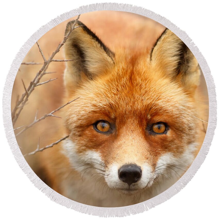 Red Fox Round Beach Towel featuring the photograph I See You - Red Fox Spotting Me by Roeselien Raimond