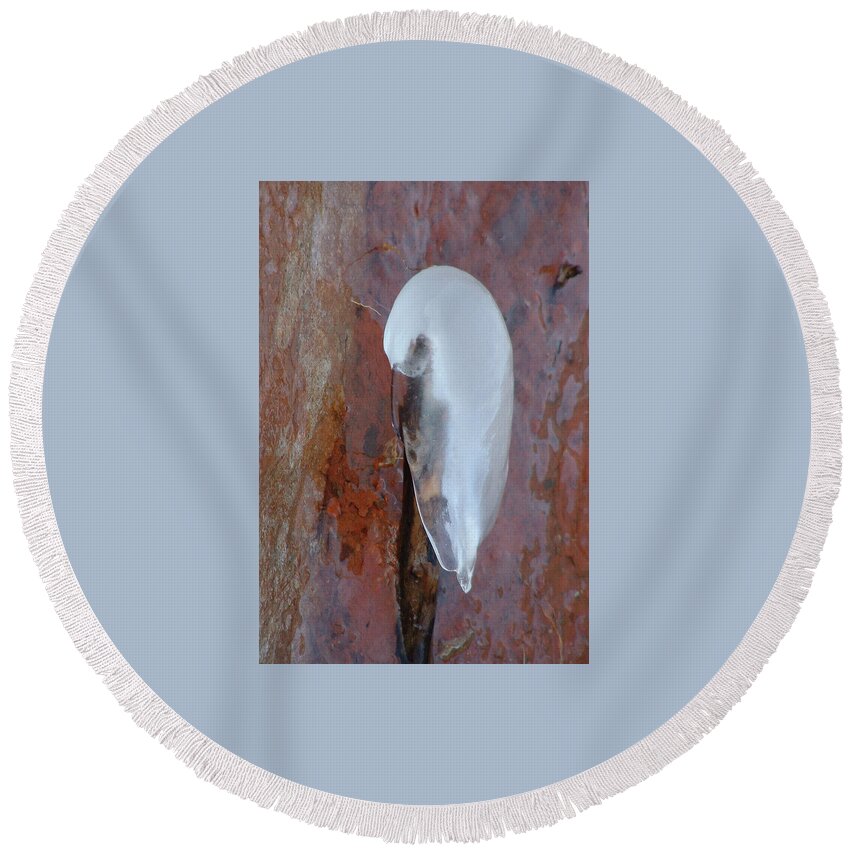 Ice Round Beach Towel featuring the photograph Ice Birdy by Annekathrin Hansen