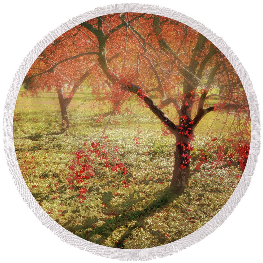 Landscape Round Beach Towel featuring the photograph In Season by John Anderson