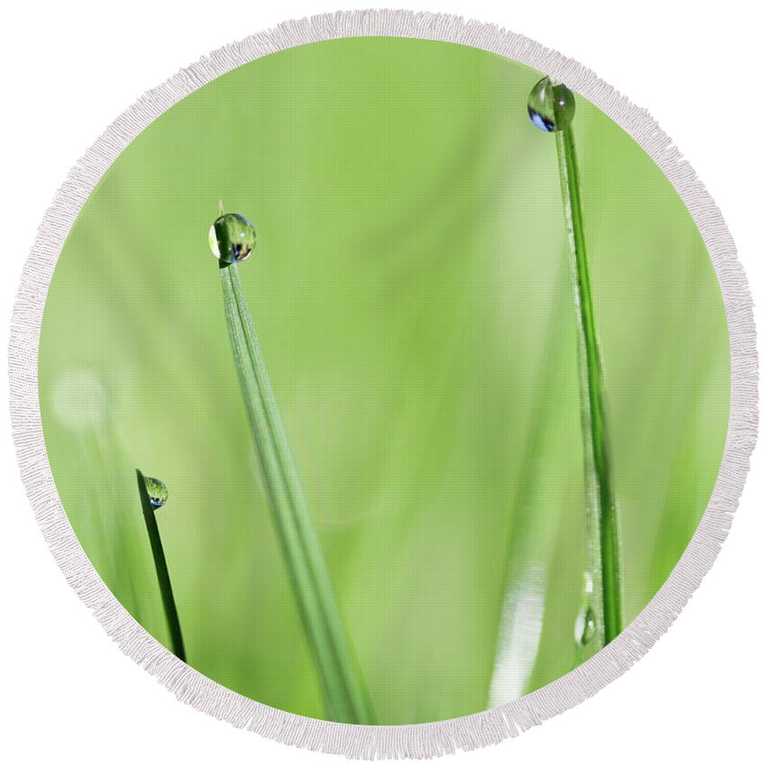 Macro Water Drop Round Beach Towel featuring the photograph In the Grass by Rebecca Cozart