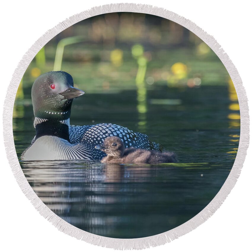 Loon Round Beach Towel featuring the photograph In the lillies... by Ian Sempowski