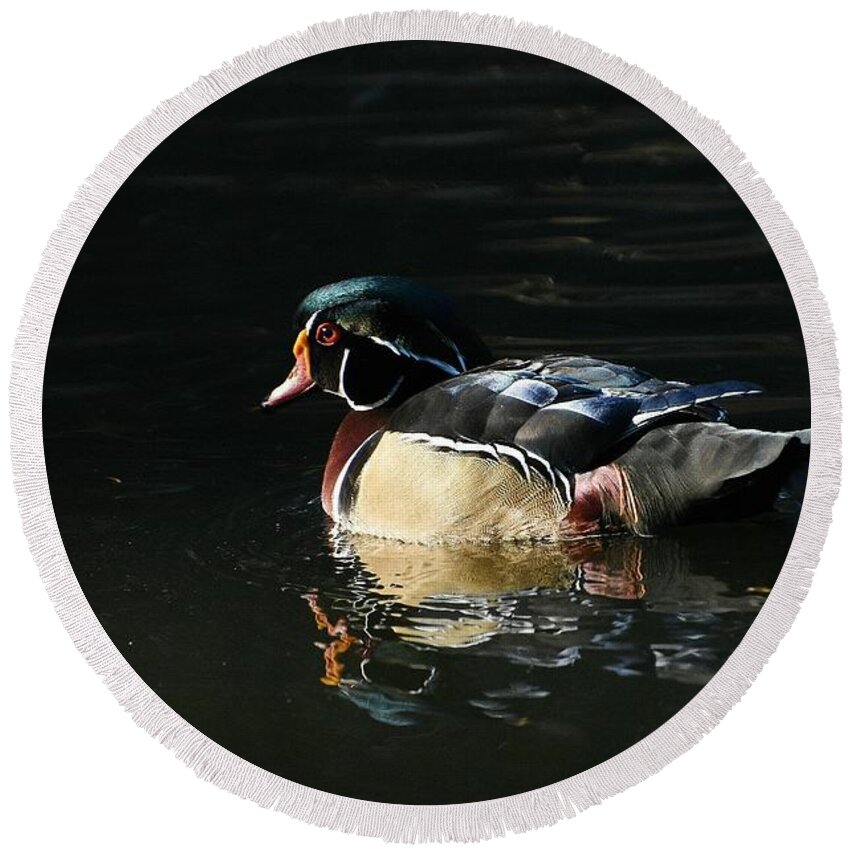 Wood Duck Round Beach Towel featuring the photograph In The Spotlight by Fraida Gutovich