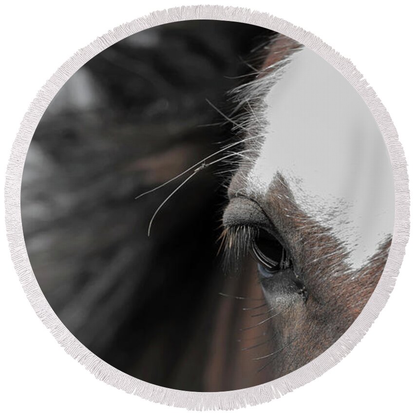 Horse Round Beach Towel featuring the photograph In the Wind by Holly Ross