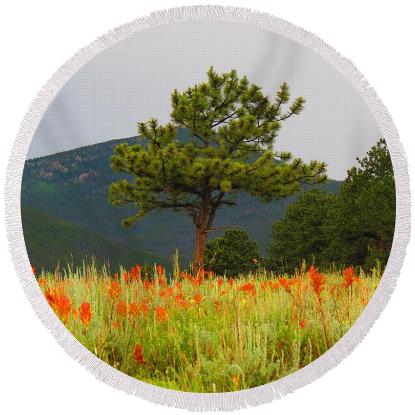 Indian Paintbrush And Pines Round Beach Towel featuring the photograph Indian Paintbrush and Pines by Aimee Mouw