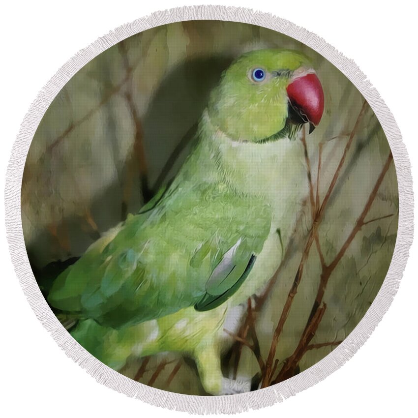 Parrot Round Beach Towel featuring the photograph Indian Ringneck Parrot by Judy Palkimas