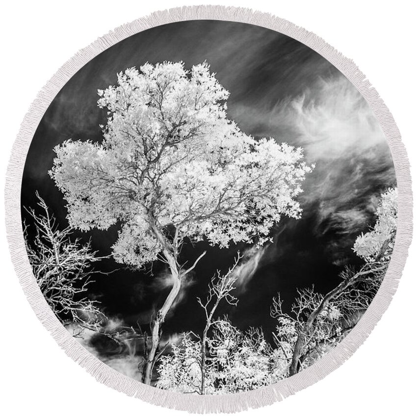 Infrared Tree Round Beach Towel featuring the photograph Infrared Tree Tops by Roseanne Jones