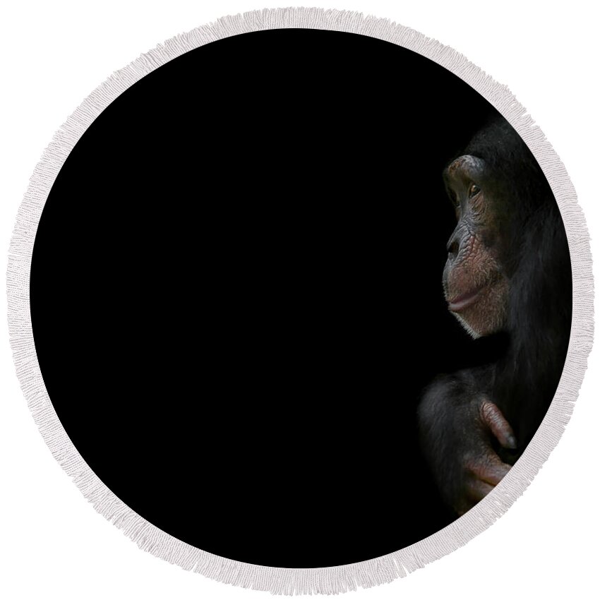 Chimpanzee Round Beach Towel featuring the photograph Innocence by Paul Neville