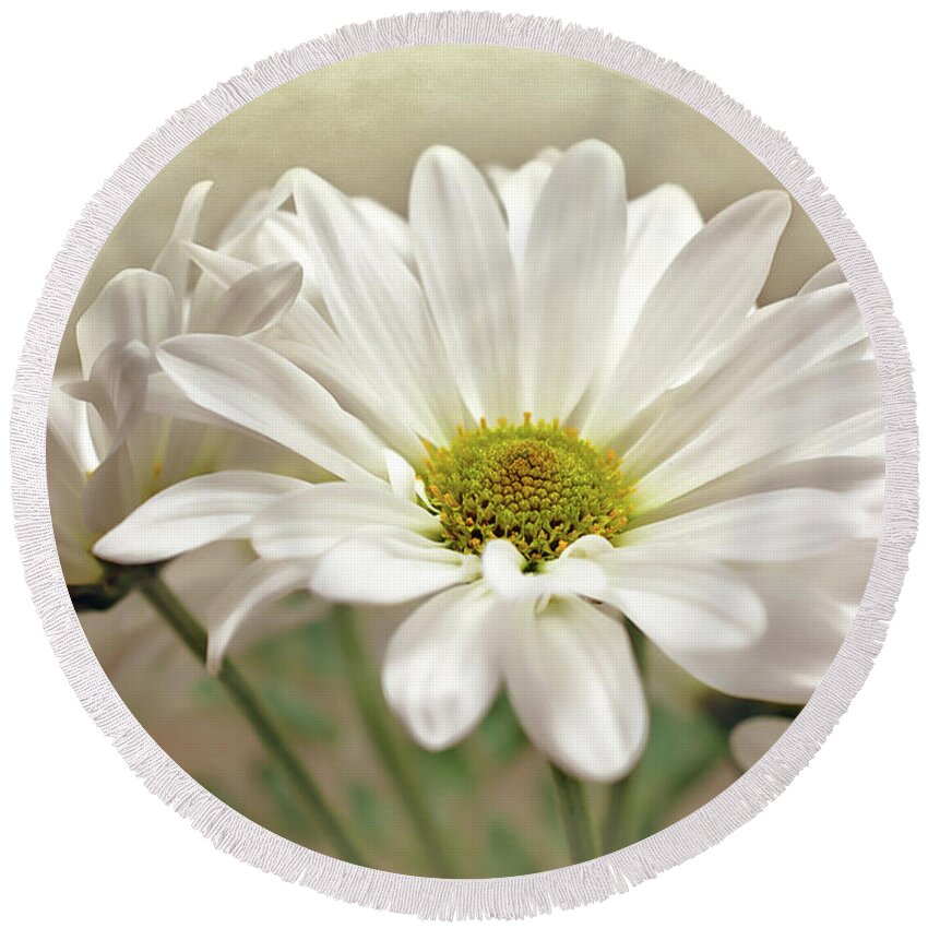 Daisies In Light Photo Round Beach Towel featuring the photograph Inspired Daisies Print by Gwen Gibson