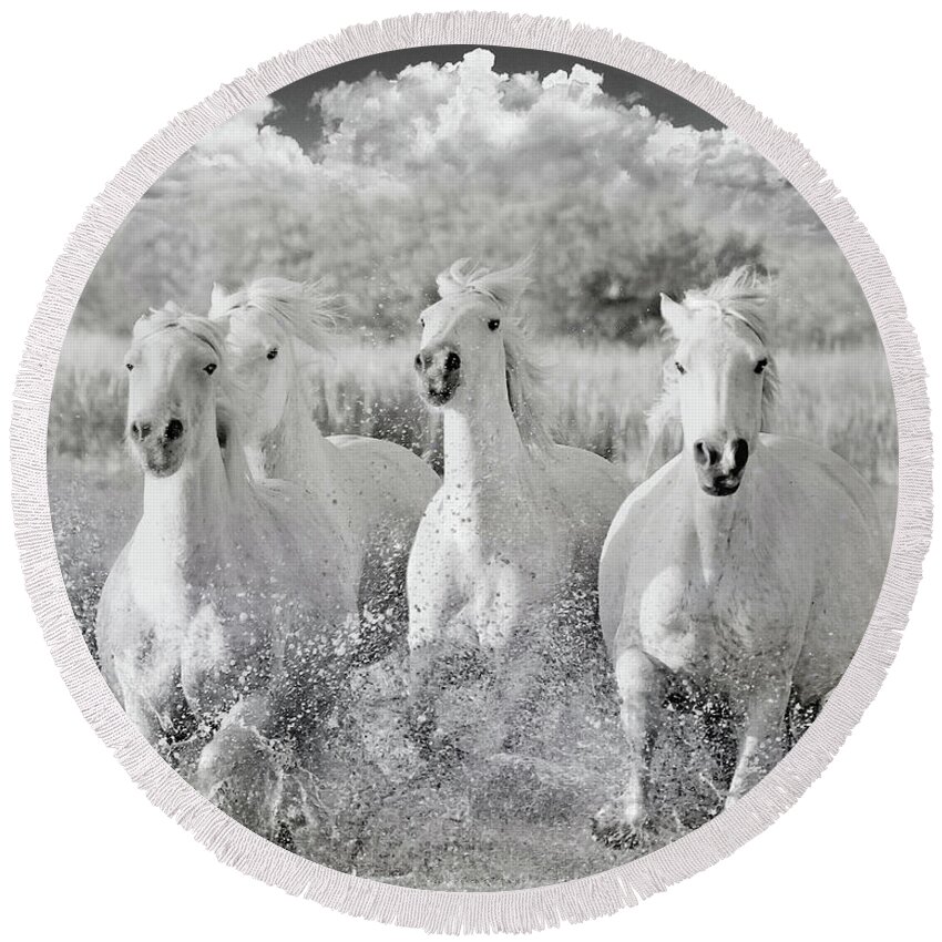Horse Round Beach Towel featuring the photograph Into the Wind by Karen Lynch