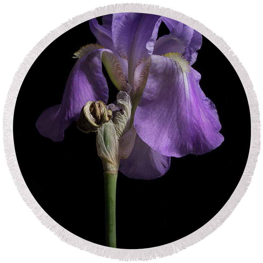 Purple Iris Round Beach Towel featuring the photograph Iris Series 1 by Mike Eingle