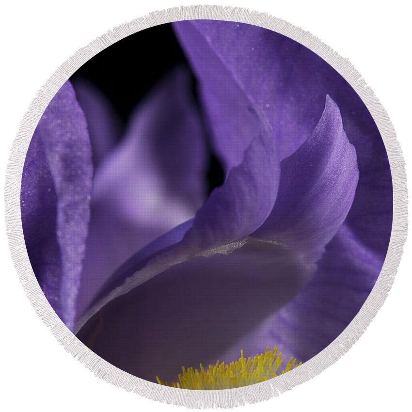 Purple Iris Round Beach Towel featuring the photograph Iris Series 2 by Mike Eingle