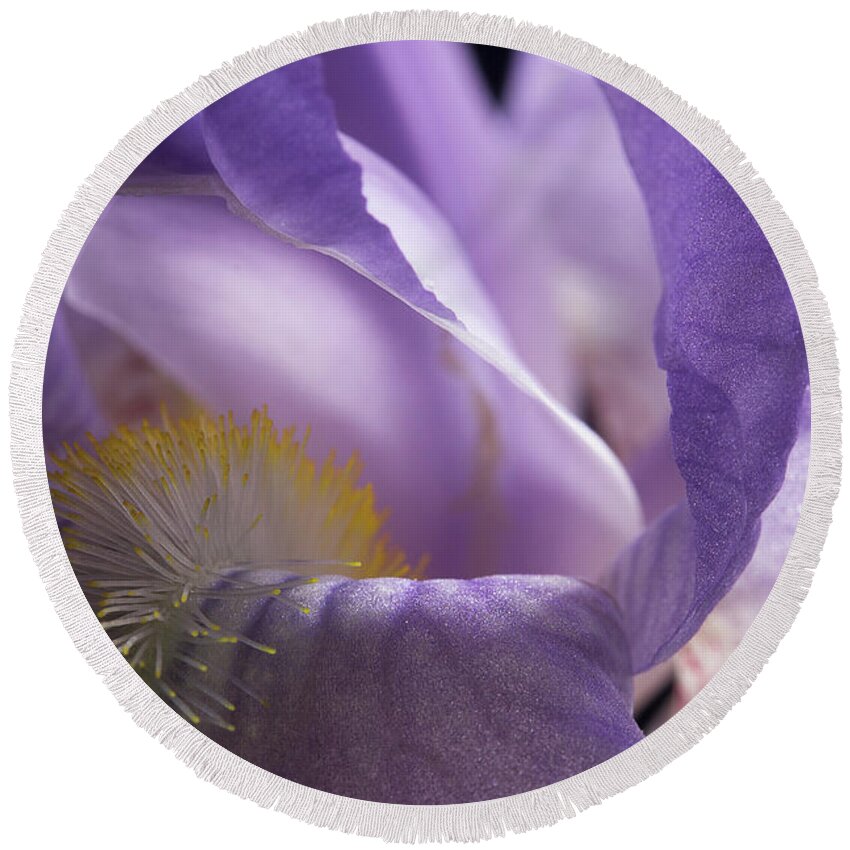 Purple Iris Round Beach Towel featuring the photograph Iris Series 3 by Mike Eingle