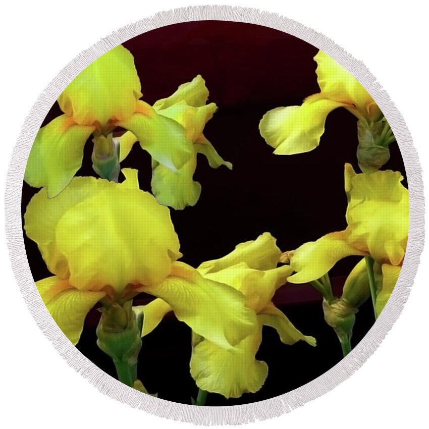 Photography Round Beach Towel featuring the photograph Irises Yellow by Jasna Dragun