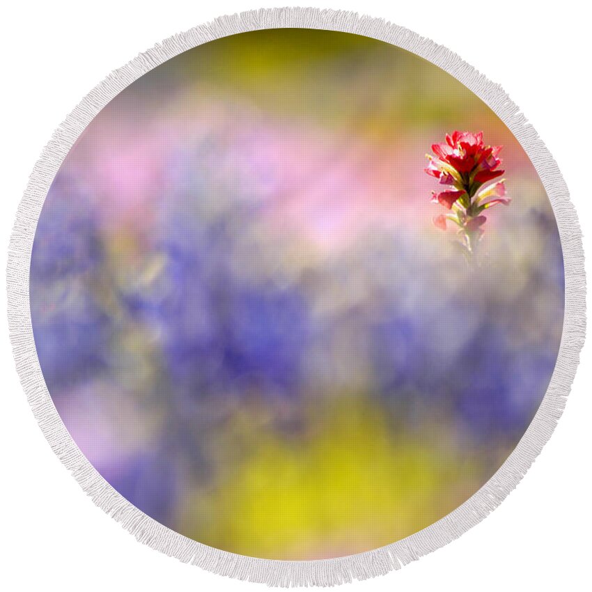 Paintbrush Round Beach Towel featuring the photograph Isolated Paintbrush by Ted Keller
