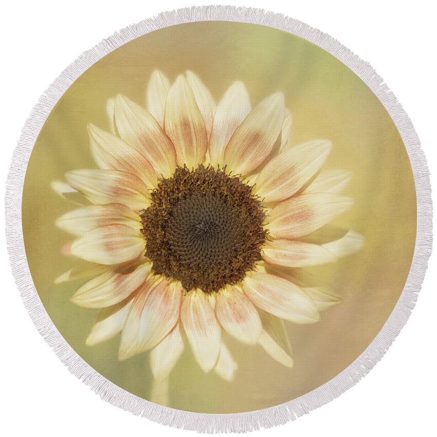 Sunflower Round Beach Towel featuring the photograph It's A Sunshine Day by Kim Hojnacki