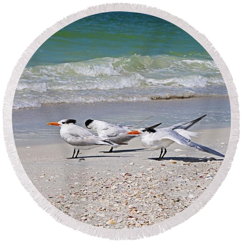 Royal Terns Round Beach Towel featuring the photograph It's Just a Little Gas by Michiale Schneider