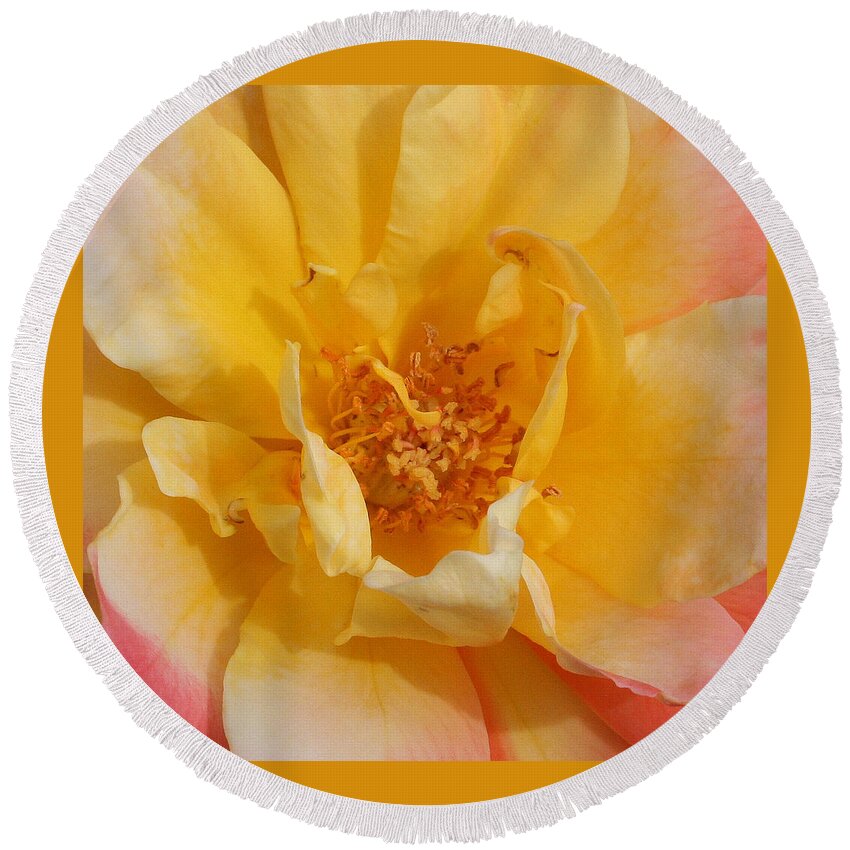 Rose Round Beach Towel featuring the photograph Jacob's Bands of Color by Marna Edwards Flavell