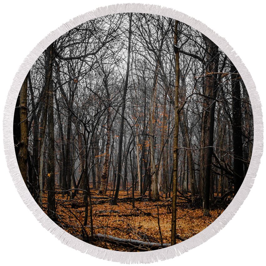 Forest Round Beach Towel featuring the photograph January Forest Rains by Miguel Winterpacht
