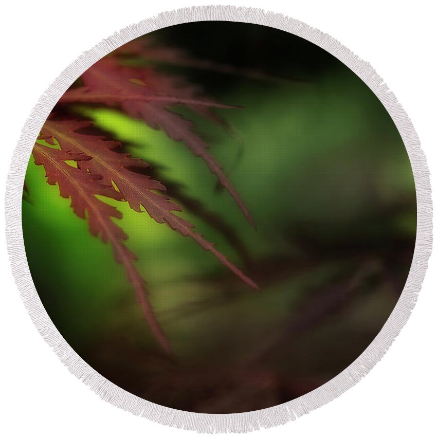 Leaves Round Beach Towel featuring the photograph Japanese Maple by Mike Eingle