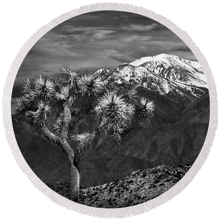 California Round Beach Towel featuring the photograph Joshua Tree at Keys View in Black and White by Randall Nyhof