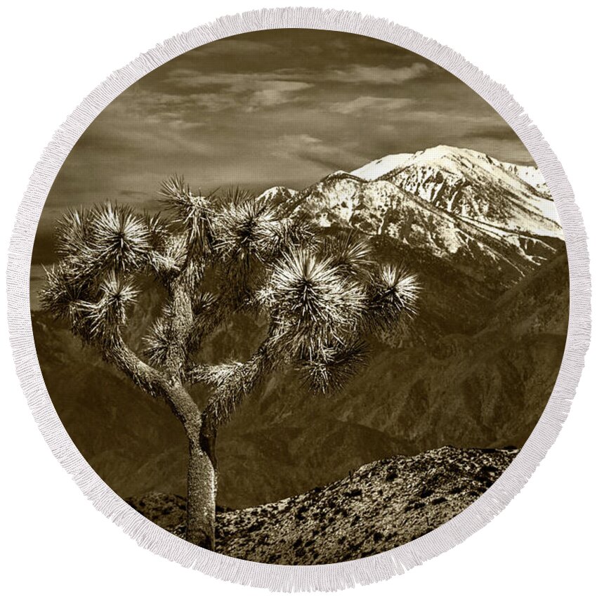 California Round Beach Towel featuring the photograph Joshua Tree at Keys View in Sepia Tone by Randall Nyhof