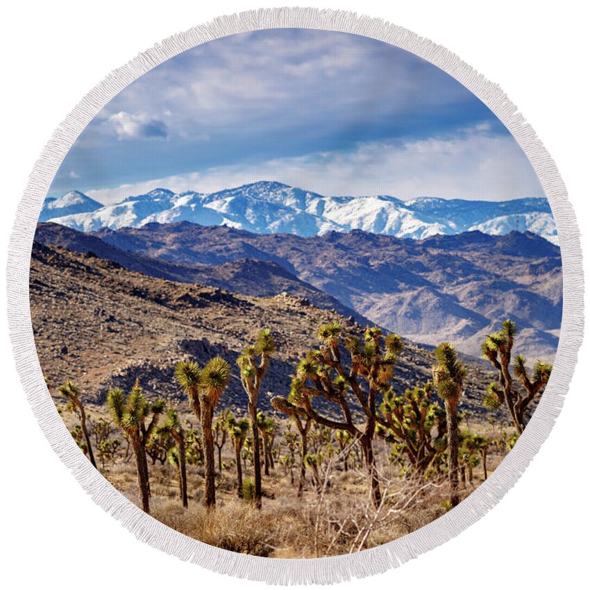 Joshua Tree Round Beach Towel featuring the photograph Joshua Tree National Park 2 by Mike Penney