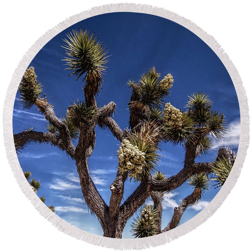 California Round Beach Towel featuring the photograph Joshua Trees and Clouds in Joshua Tree National Park by Randall Nyhof