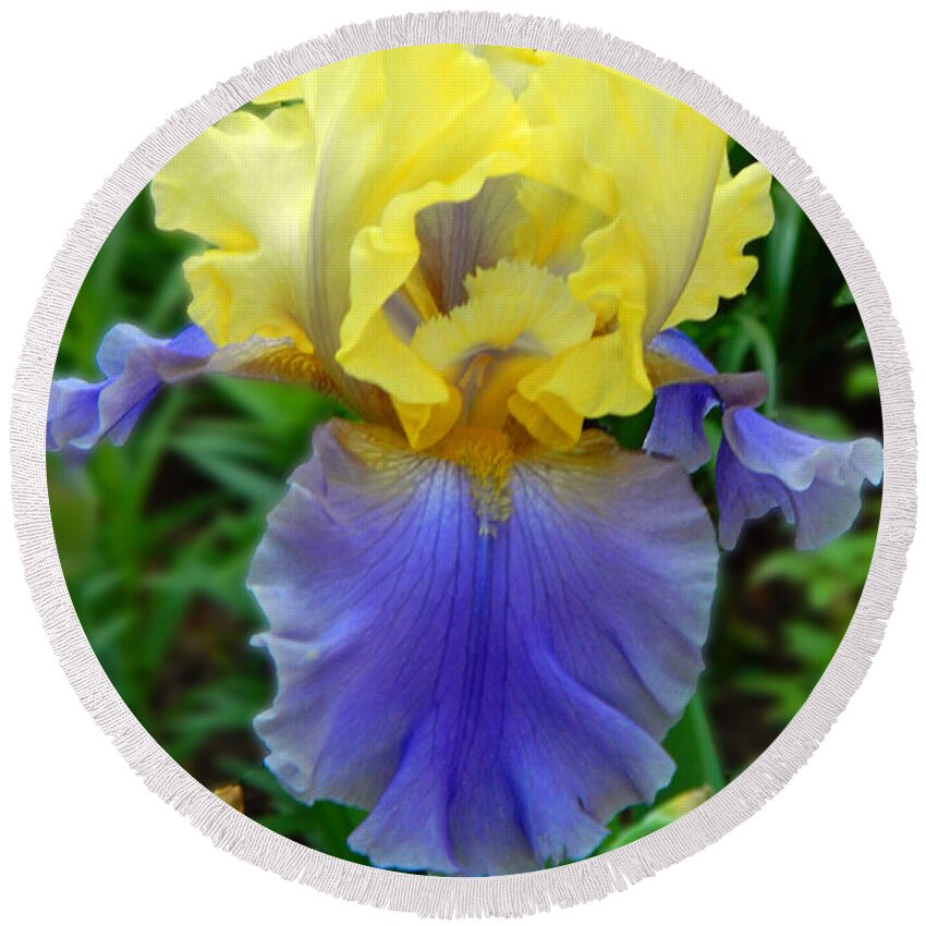 Julie's Iris Round Beach Towel featuring the photograph Julie's Iris by Emmy Vickers