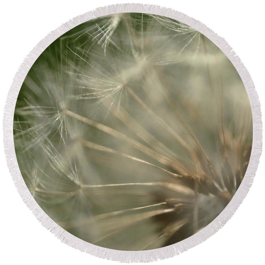 Dandelion Round Beach Towel featuring the photograph Just A Weed by Michael McGowan