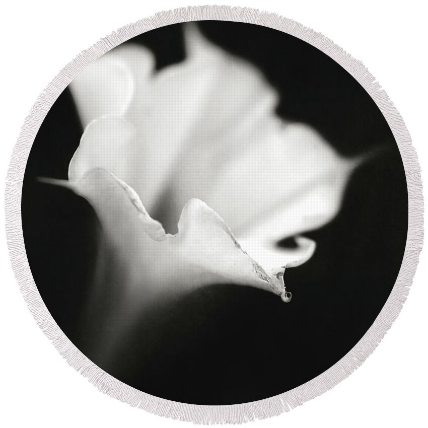Lr_thefader Round Beach Towel featuring the photograph Just a white flower by Eduard Moldoveanu