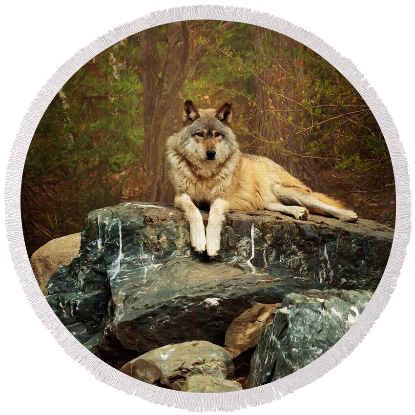 Animal Round Beach Towel featuring the photograph Just Chilling by Susan Rissi Tregoning