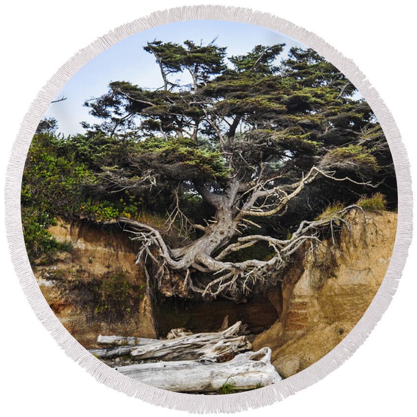 Lone Round Beach Towel featuring the photograph Kalaloch Hanging Tree by Pelo Blanco Photo