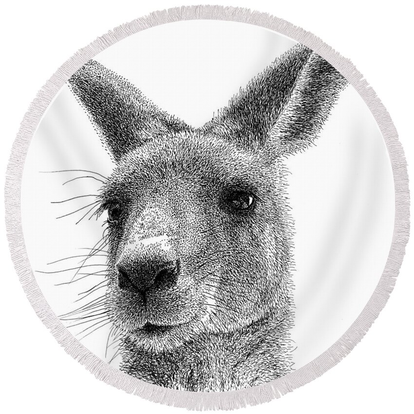 Kangaroo Round Beach Towel featuring the drawing Kangaroo by Scott Woyak