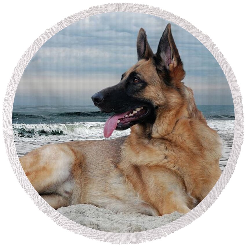 German Shepherd Dogs Round Beach Towel featuring the photograph King Of The Beach - German Shepherd Dog by Angie Tirado