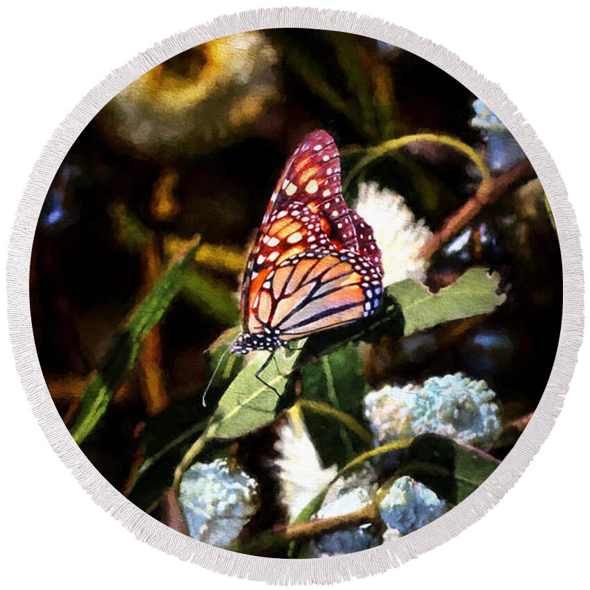 Monarch Butterfly Round Beach Towel featuring the photograph King of the Butterflies - 1 by Susan Rissi Tregoning