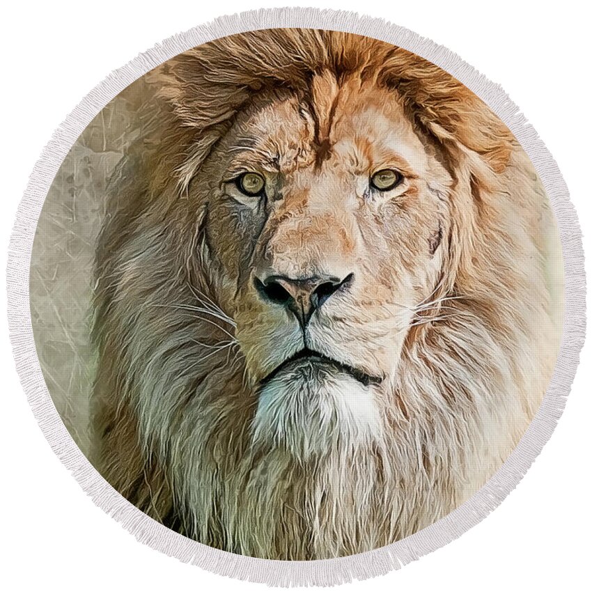 Lion Round Beach Towel featuring the photograph King of The Pride by Brian Tarr