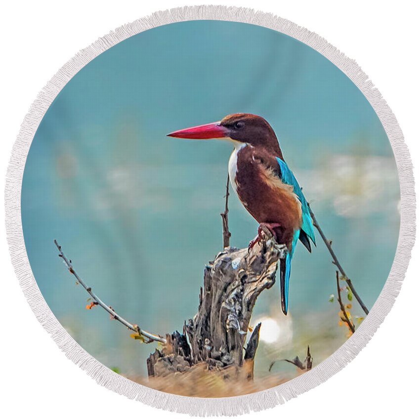 Bird Round Beach Towel featuring the photograph Kingfisher on a stump by Pravine Chester