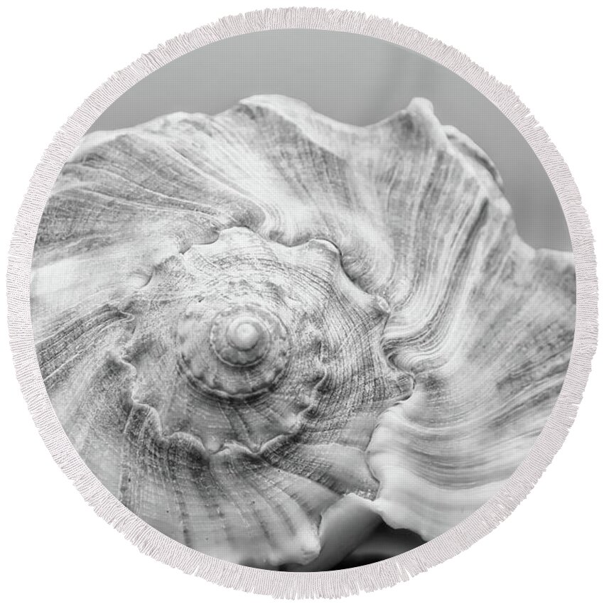 Whelk Round Beach Towel featuring the photograph Knobbed Whelk by Benanne Stiens