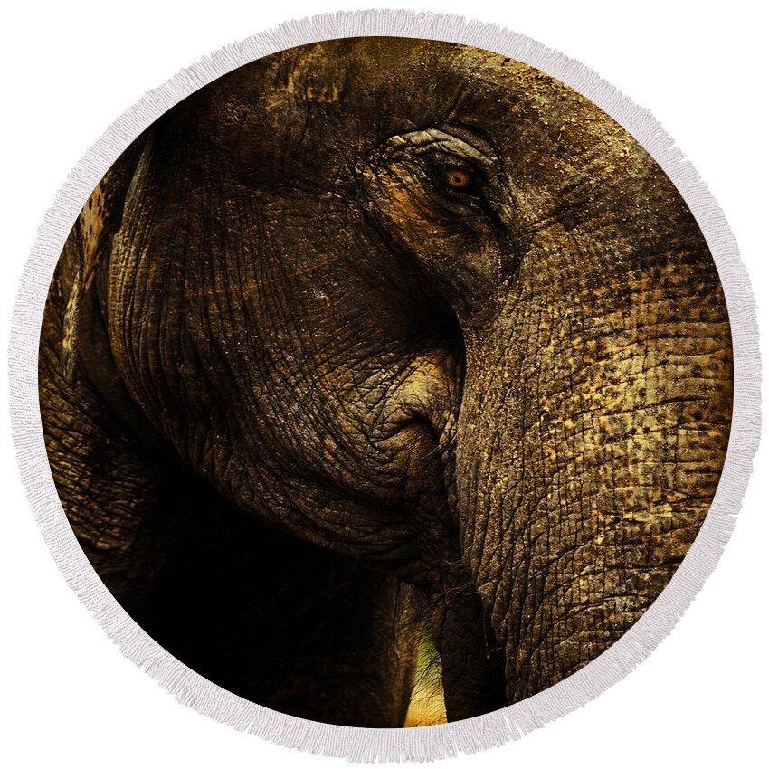 Elephant Round Beach Towel featuring the photograph Knowing by Andrew Paranavitana
