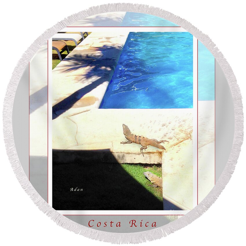 Iguanas Round Beach Towel featuring the photograph la Casita Playa Hermosa Puntarenas Costa Rica - Iguanas Poolside Greeting Card Poster by Felipe Adan Lerma