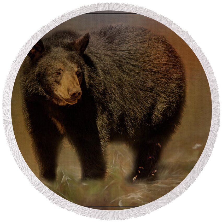 Tl Wilson Photography Round Beach Towel featuring the photograph Black Bear in the Fall by Teresa Wilson