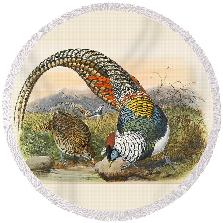 Joseph Wolf Round Beach Towel featuring the drawing Lady Amherst's pheasant. Chrysolophus amherstiae by Joseph Wolf