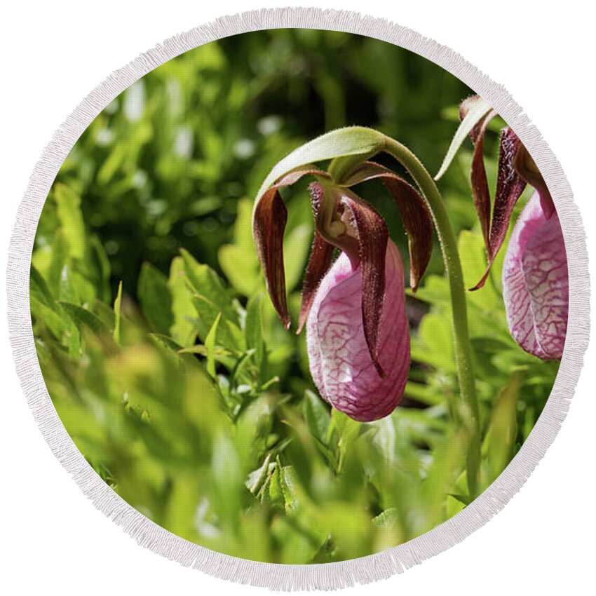 Lady Slipper Orchids Round Beach Towel featuring the photograph Lady Slipper Orchids by Holly Ross