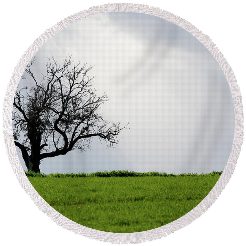 Olive Tree Round Beach Towel featuring the photograph Landscape, Lonely olive tree in a green meadow by Michalakis Ppalis