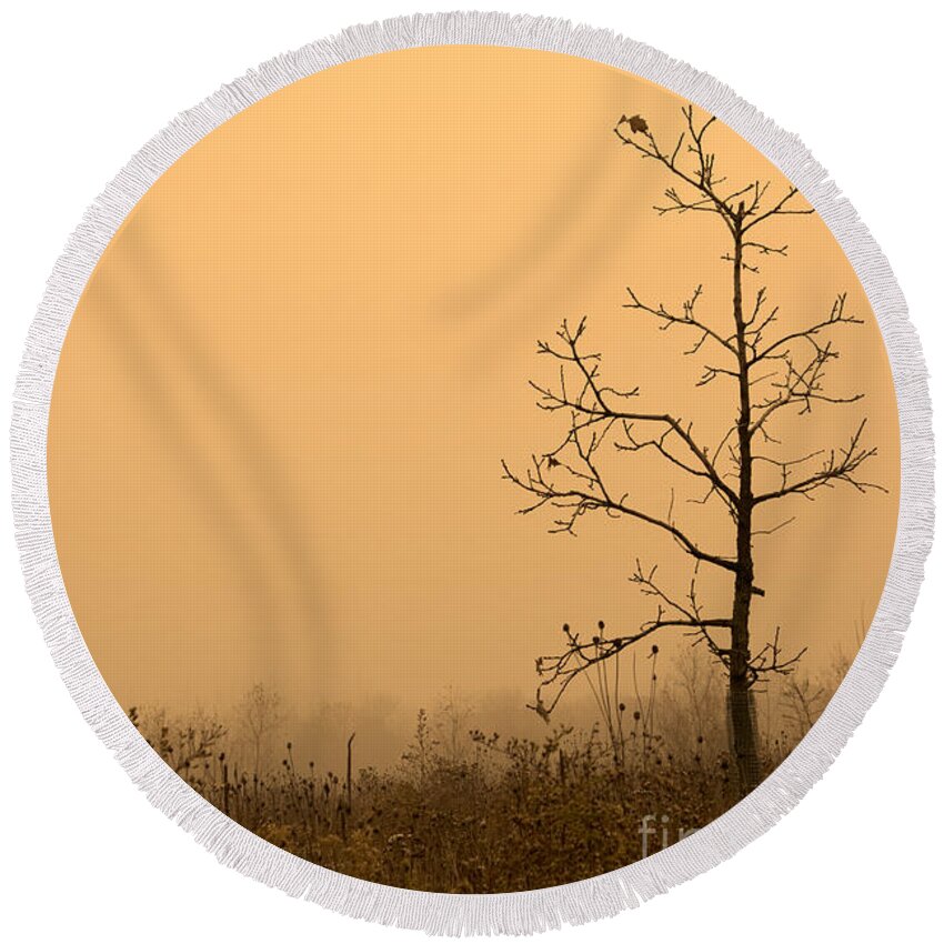 Tree Round Beach Towel featuring the photograph Last Leaves by Timothy Johnson