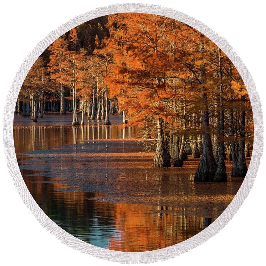 Autumn Round Beach Towel featuring the photograph Last Light on Late Autumn by Eric Albright