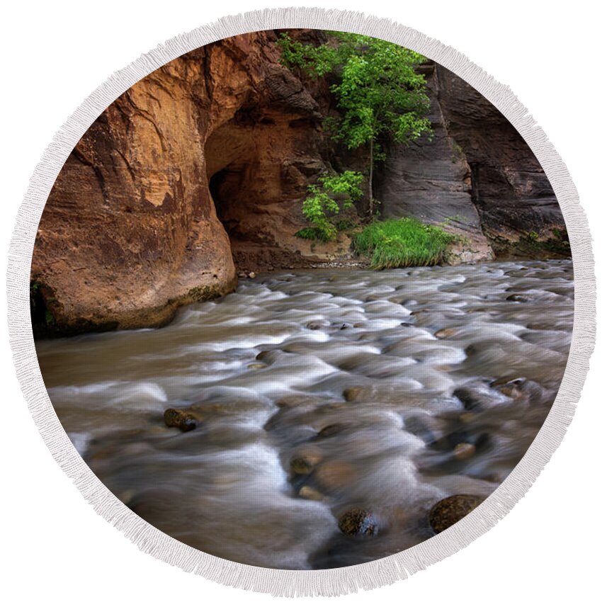 Zion National Park Round Beach Towel featuring the photograph Last Stand by Dustin LeFevre